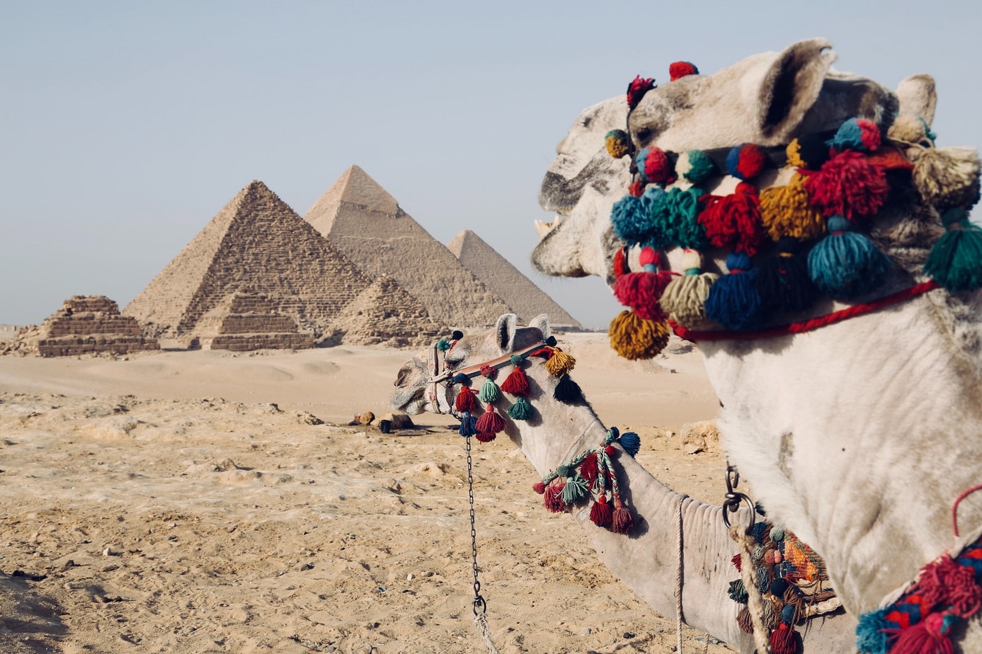Egipt od lat jest jedną z ulubionych destynacji wakacyjnych Polaków. Co warto zobaczyć, wybierając się na urlop do tego kraju?